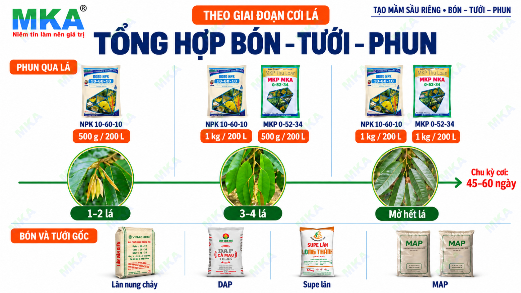 Kỹ thuật tạo mầm Sầu Riêng Bón gốc, tưới gốc và phun qua lá